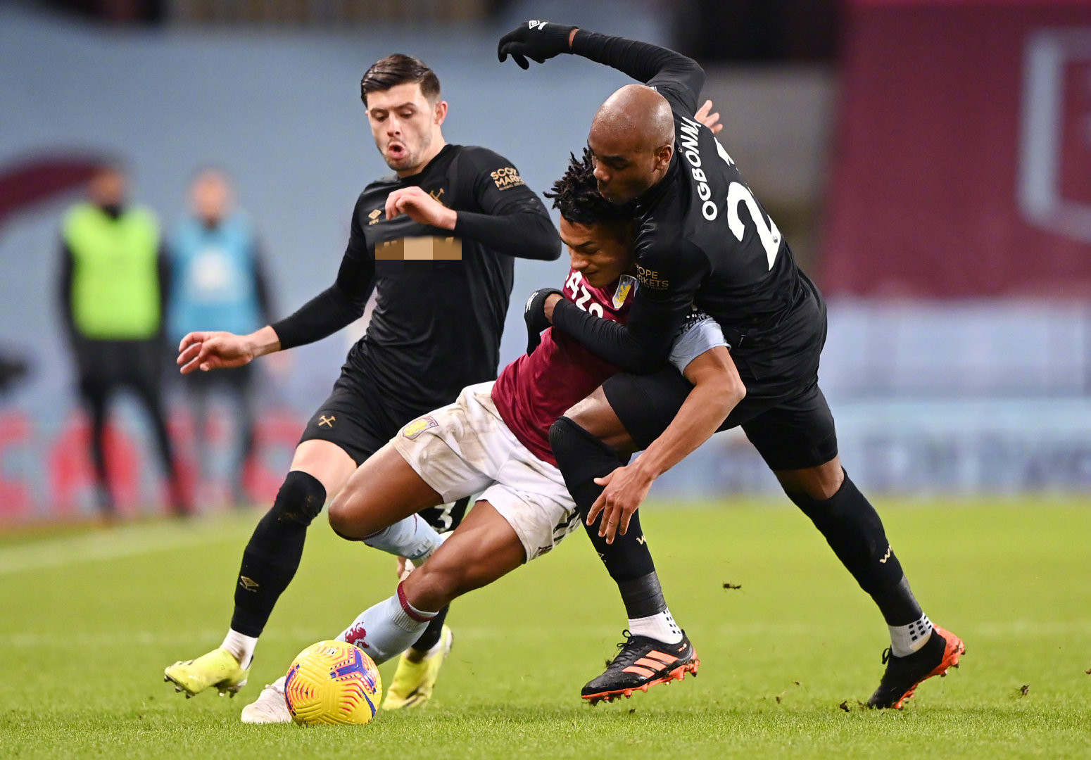 拥有庞大的 拥有庞大的